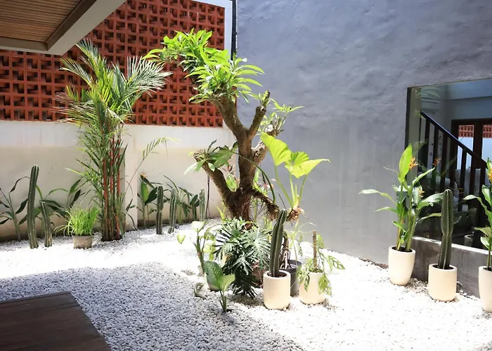 Beta Canggu